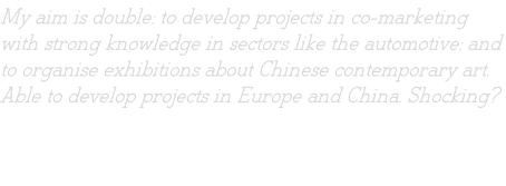 My aim is double: to develop projects in co-marketing with strong knowledge in sectors like the automotive; and  to organise exhibitions about Chinese contemporary art. Able to develop projects in Europe and China. Shocking?
